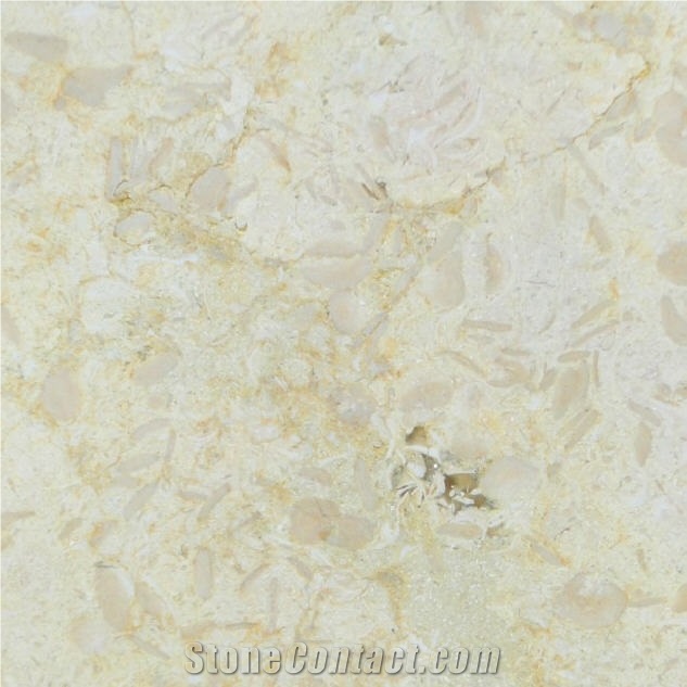 Giallo Mania Limestone Tiles & Slabs, Beige Syria Limestone