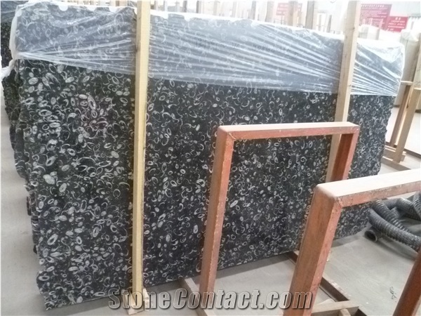 China Cheap Black Fossil Marble with White Pattern, Polished Flag Big Slabs, Tiles for Wall, Floor Covering, Skirting, Natural Building Stone Decoration, Interior Project Hotel, Villa, Shopping Mall