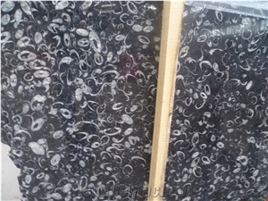 China Cheap Black Fossil Marble with White Pattern, Polished Flag Big Slabs, Tiles for Wall, Floor Covering, Skirting, Natural Building Stone Decoration, Interior Project Hotel, Villa, Shopping Mall
