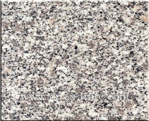 China Own Factory,Grey G341 Granite Slabs & Tiles,Cut to Size for Floor Covering,Wholesaler,Quarry Owner