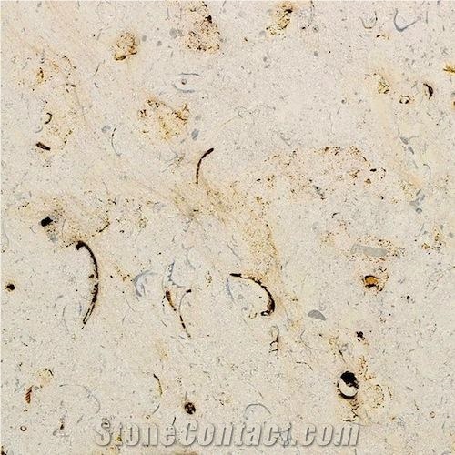 Chamesson Coquillee Limestone, Beige France Limestone Tiles & Slabs