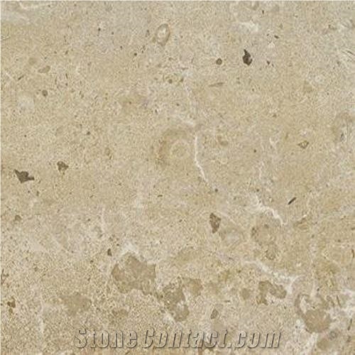 Pierre De La Tieule Limestone Tiles & Slabs, Beige France Limestone