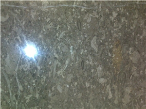 Fossil Flooring Tiles & Slabs, Grey Marble Pakistan