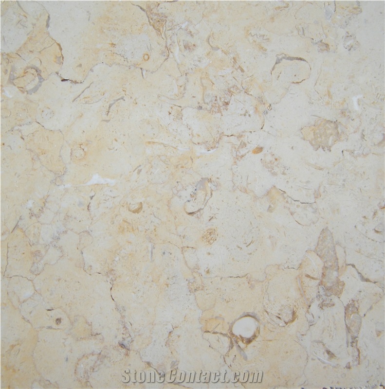Jerusalem Gold Limestone Tiles