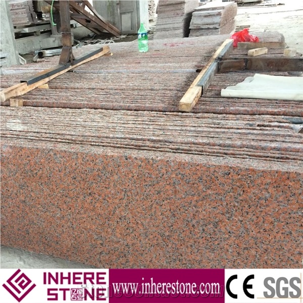 Mapple Red Granite/G562 Granite/Red Of Cengxi Slabs & Tiles, China Red Granite