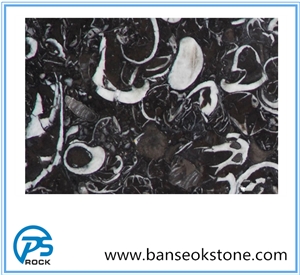 Black Fossil Marble Tiles & Slabs , Black China Marble, Marble for Countertop