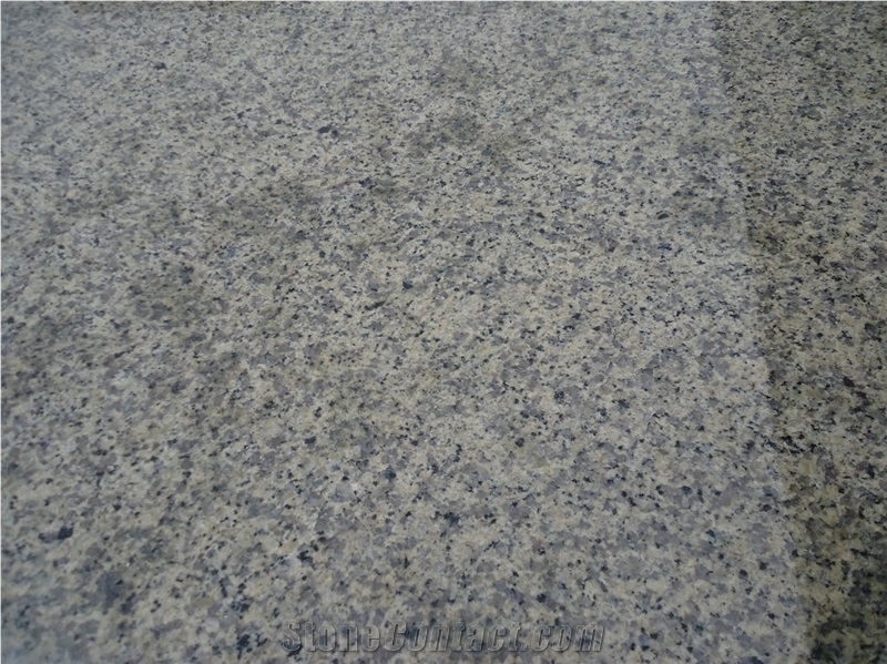 Ally Gold Karamori Granite Slabs & Tiles China Chinese Polished Granite