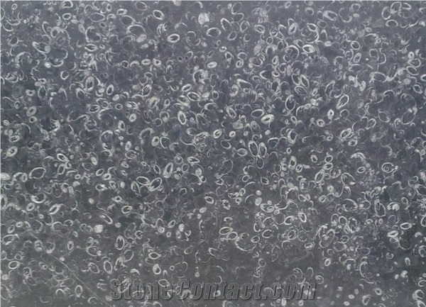Deep Sea Marble Slabs & Tiles, China Black Marble