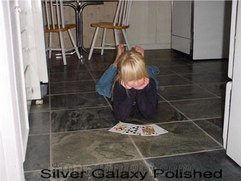 Silver Galaxy Slate Polished Floor Tiles