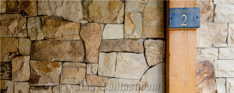 Exotic Harvest Gold Sandstone Veneer Wall Stone