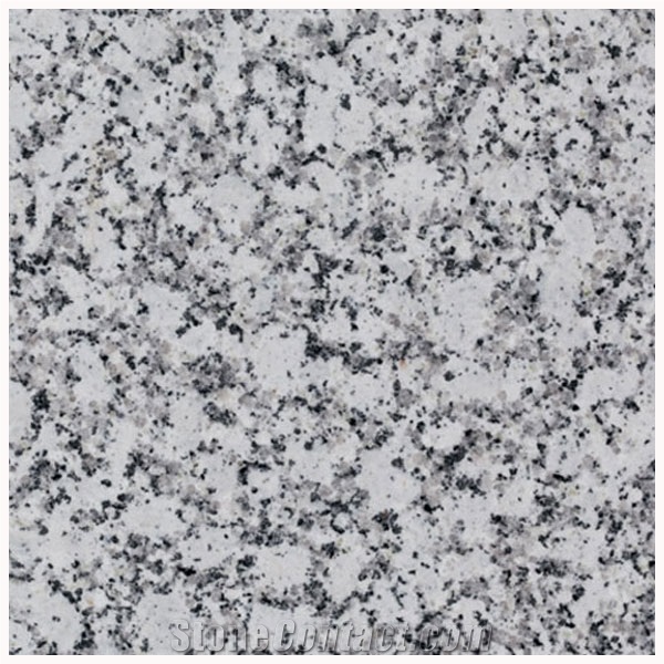 P White Granite India Slab $ 14.60 Per Sq Meter.