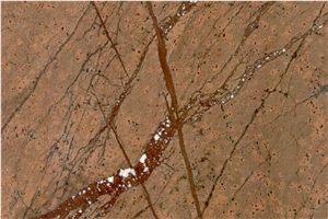 Bidasar Gold Marble, Rainforest Gold Marble Slabs and Tiles