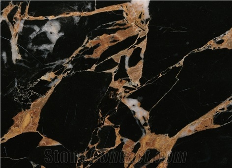 Nero Marfilia Marble Slabs & Tiles, China Black Marble