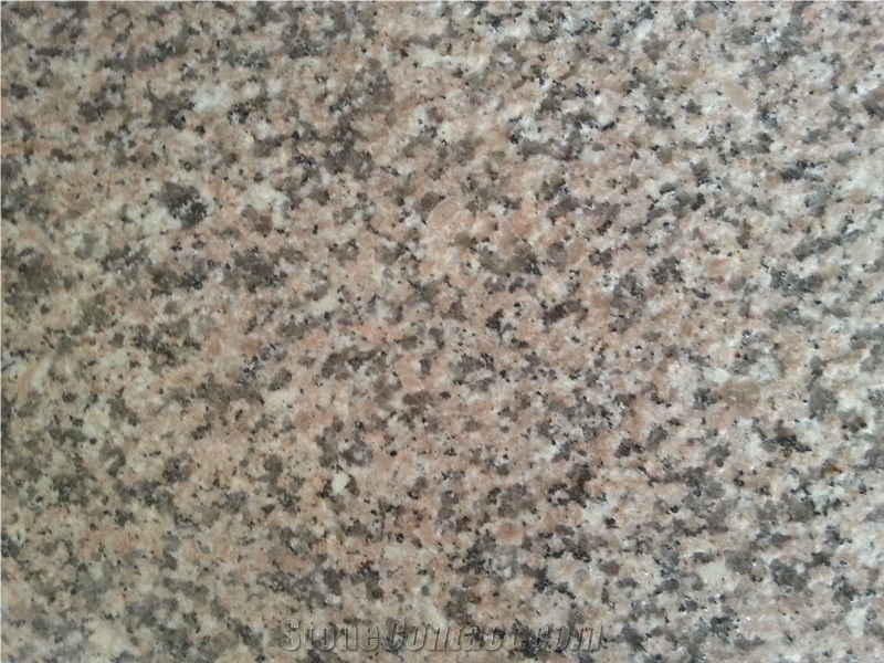 G367 Granite, Shandong Pink Granite Tiles