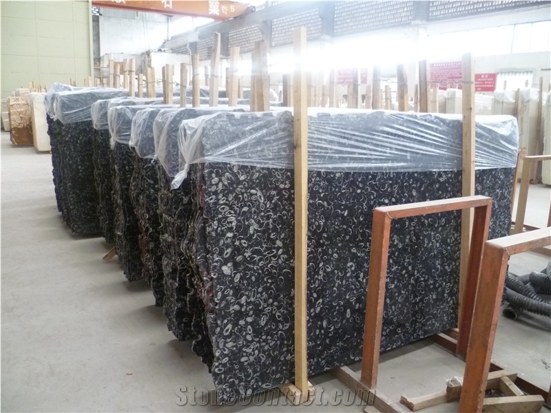 Seashell Flower Marble Slabs & Tiles, China Cheap Black Marble