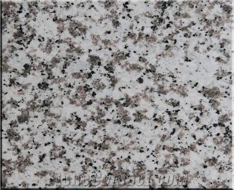 China Factory,G439 Granite Tiles & Slabs,Grey White Series Granite,For Floor Paving,Wholesaler,Quarry Owner-Xiamen Songjia