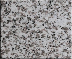 China Factory,G439 Granite Tiles & Slabs,Grey White Series Granite,For Floor Paving,Wholesaler,Quarry Owner-Xiamen Songjia
