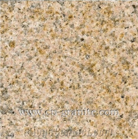China Factory,Zhangpu Rust Granite Tiles and Slabs,Cut to Size for Floor Covering,Paving Sets.