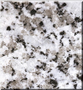 China New Quarry Big Flower Chinese Granite Grey Granite Polished Tiles & Slabs