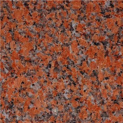 G562 China Maple Red Granite Polished Slabs Cut to Size Tiles Flamed Beautiful Stair Floor Covering Hot Sale