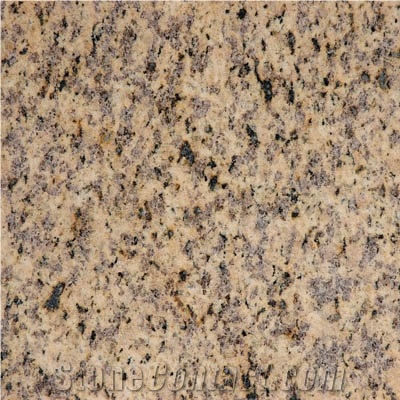 New Factory Chinese Own Qaurry Tiger Skin Yellow Granite Slabs Cut to Size Flamed Polished Stone Tiles Cheap Price Walling, China Yellow Granite