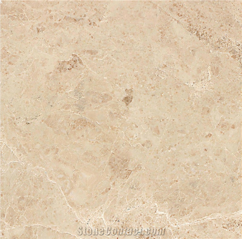 Bedrosians Marble 12 X 12 X 3/8 Cappuccino Polished