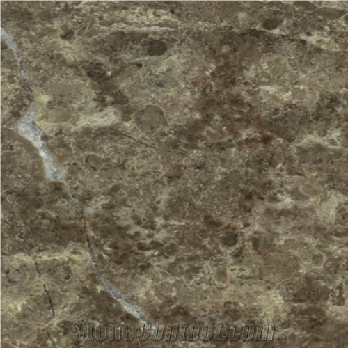 Lunel Fleury Limestone Tiles & Slabs, Brown Limestone France Tiles & Slabs