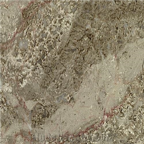 Notre Dame Sauvage Marble Tiles, Brown France Marble Tiles & Slabs