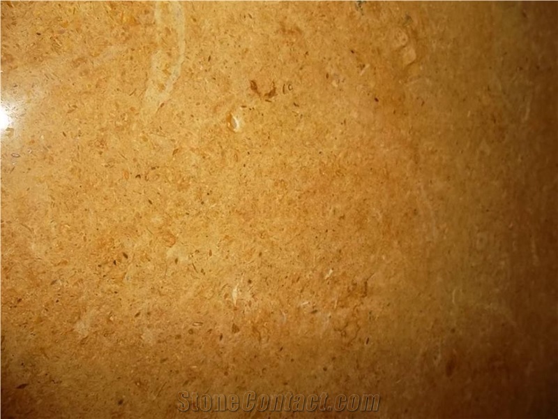Indus Gold Marble Tiles