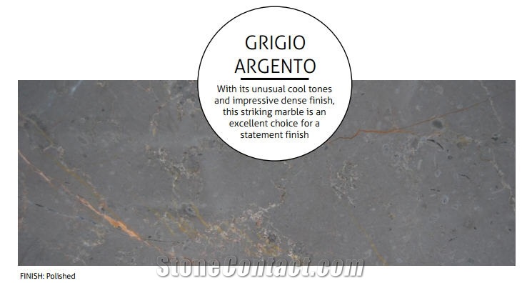 Polished Slab Of Argento Grigio from Our Cervenilla Quarry