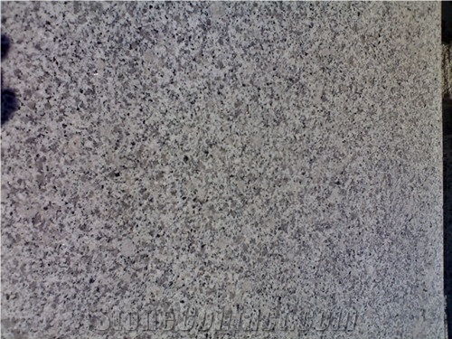 Hot Chinese Light Grey G640 Granite Tiles & Slabs, China Grey Granite