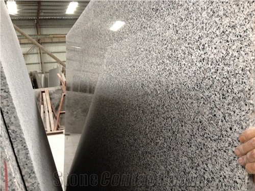 Hot Chinese Light Grey G640 Granite Tiles & Slabs, China Grey Granite