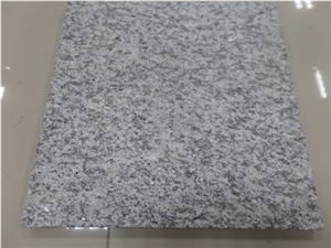Popular Chinese Light Grey Granite Tile G623, China Grey Granite