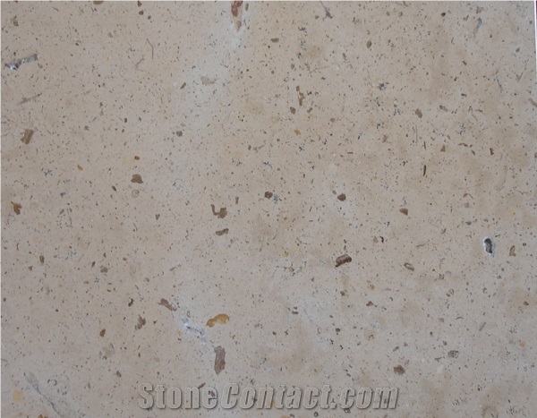 Niya-China White Limestone/Coral Stone/Seshell Stone Tiles & Slabs for Walling ,Flooring