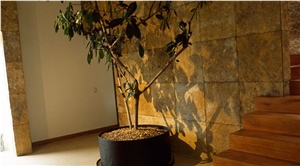 Ticul Dorada Limestone Wall Covering, Yellow Limestone Mexico Tiles & Slabs
