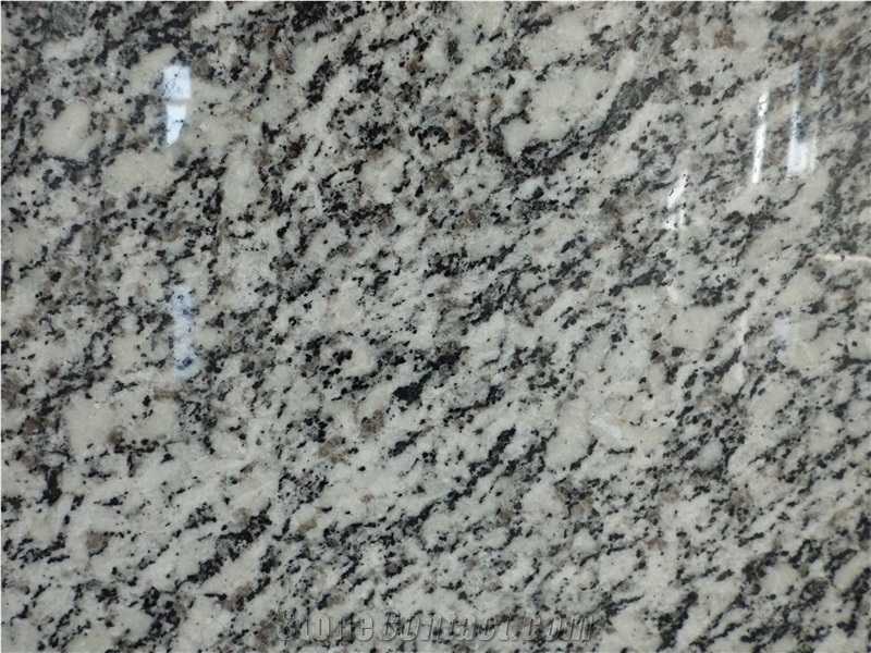 Chinese Persian Silver Hemp Granite Tiles,Slabs