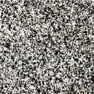 Black Granite Ukraine Tiles & Slabs