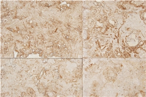 Blanco Fossil Travertine Tiles & Slabs, Brown Travertine Turkey Tiles & Slabs