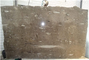 Cygnus Quartzite Polished Slabs