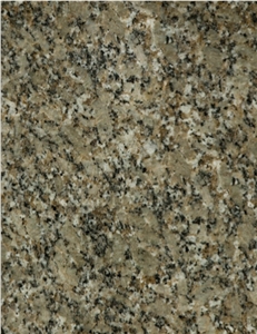 Canadian Pine Green Granite Tiles & Slabs