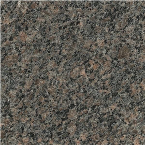 Caledonia Ml Granite, Brown Granite Canada Tiles & Slabs