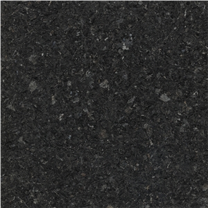 Cambrian Black Granite Tiles & Slabs Canada