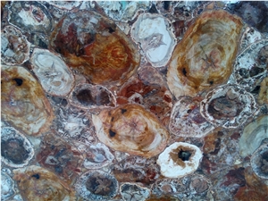 Petrified Wood Gem Stone Slabs & Tiles,Semi-Precious Tiger Slabs,Brown Tiger Gem Stone for Wall Panel