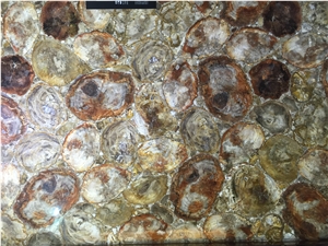 Round Petrified Wood Gem Stone Slabs & Tiles,Semi-Precious Tiger Slabs,Brown Tiger Gem Stone for Wall Panel/Kitchen Counter Top