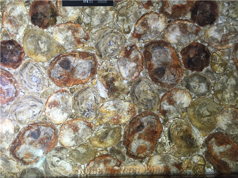 Wood Fossil Brown Semiprecious Stone Slabs & Tiles,Brown Semi Precious Stone Panel for Making Indoor Counter Top