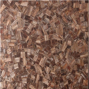 Wood Fossil Semi Precious Stone Slabs & Tiles,Brown Semi Precious Wall Panels