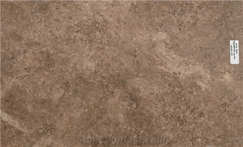 Bucak Noce Travertine Slabs and Tiles