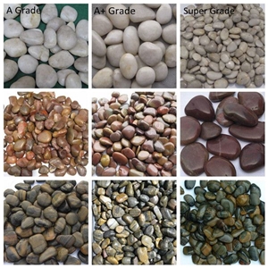 Mixed Pebbles and Stones River Stone for Walkway Pavers