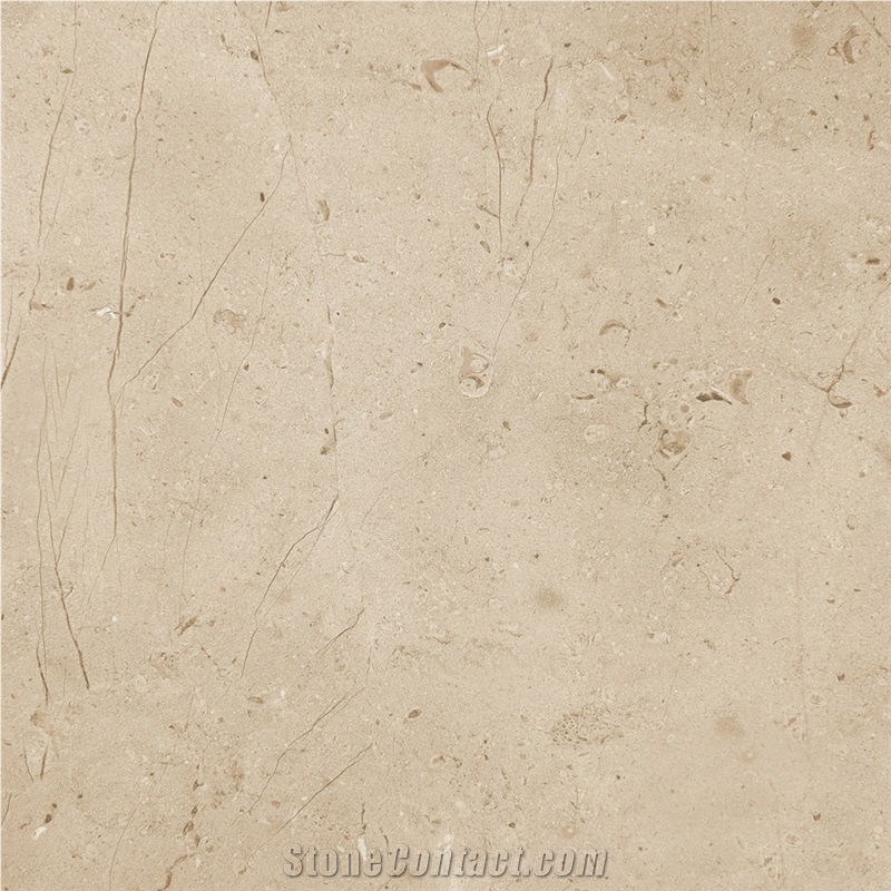 Small Fossil Pattern Beige Marble