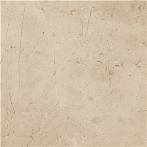 Small Fossil Pattern Beige Marble